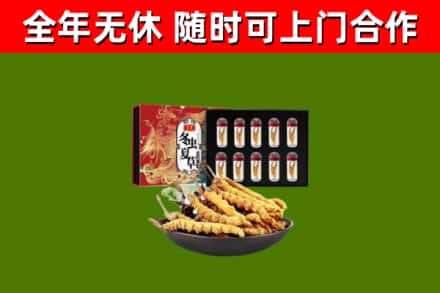 阜康市回收冬虫夏草价格